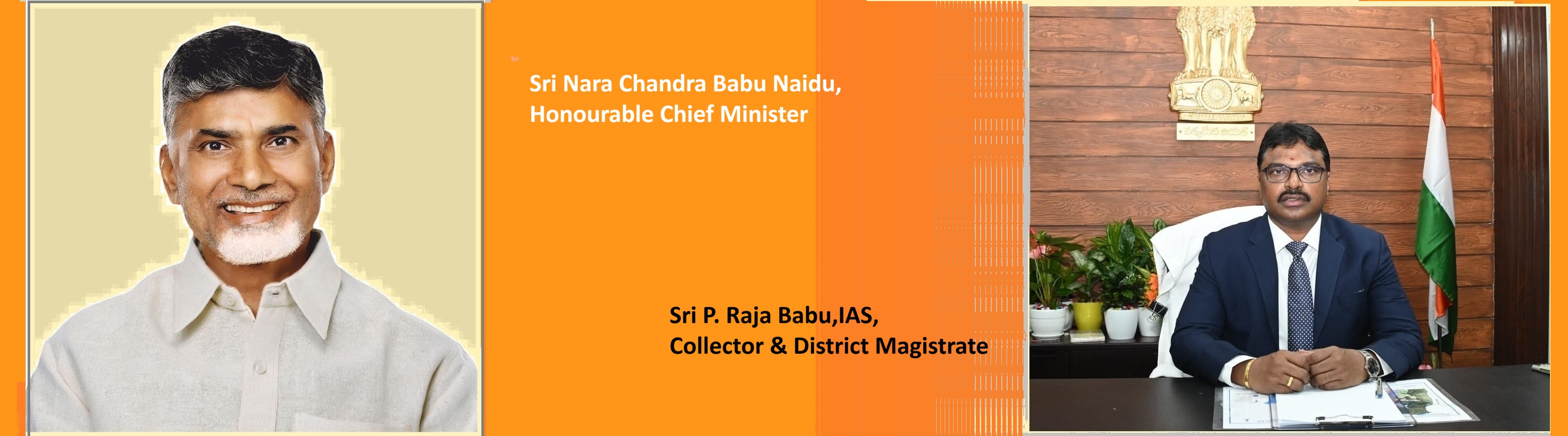 Collector Banner